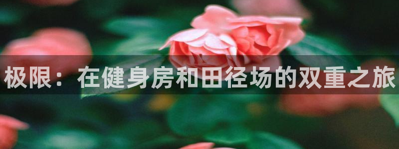 MK体育官方正版app集团logo:极限:在健身房和田径场的