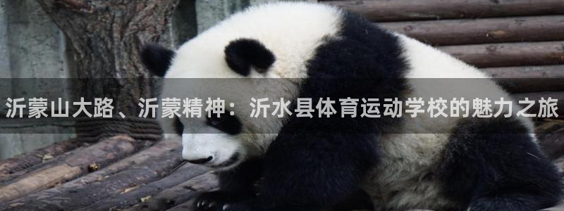 海南MK体育官网下载发展怎么样:沂蒙山大路、沂蒙精神:沂水县