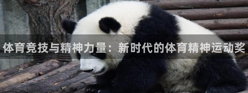 MK体育官网下载平台注册:体育竞技与精神力量:新时代的体育精