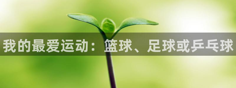 MK体育官网下载平台APP:我的最爱运动:篮球、足球或乒乓球