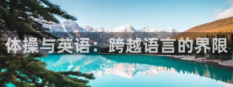 MK体育官方正版app集团官网网址:体操与英语:跨越语言的界